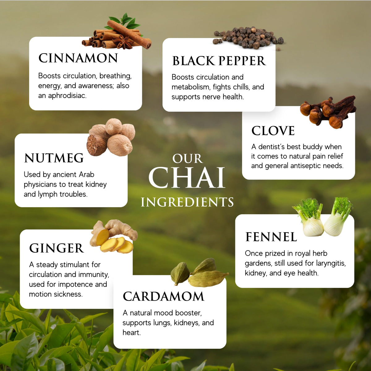 Steaming black tea latte prepared with Third Street Chai concentrate