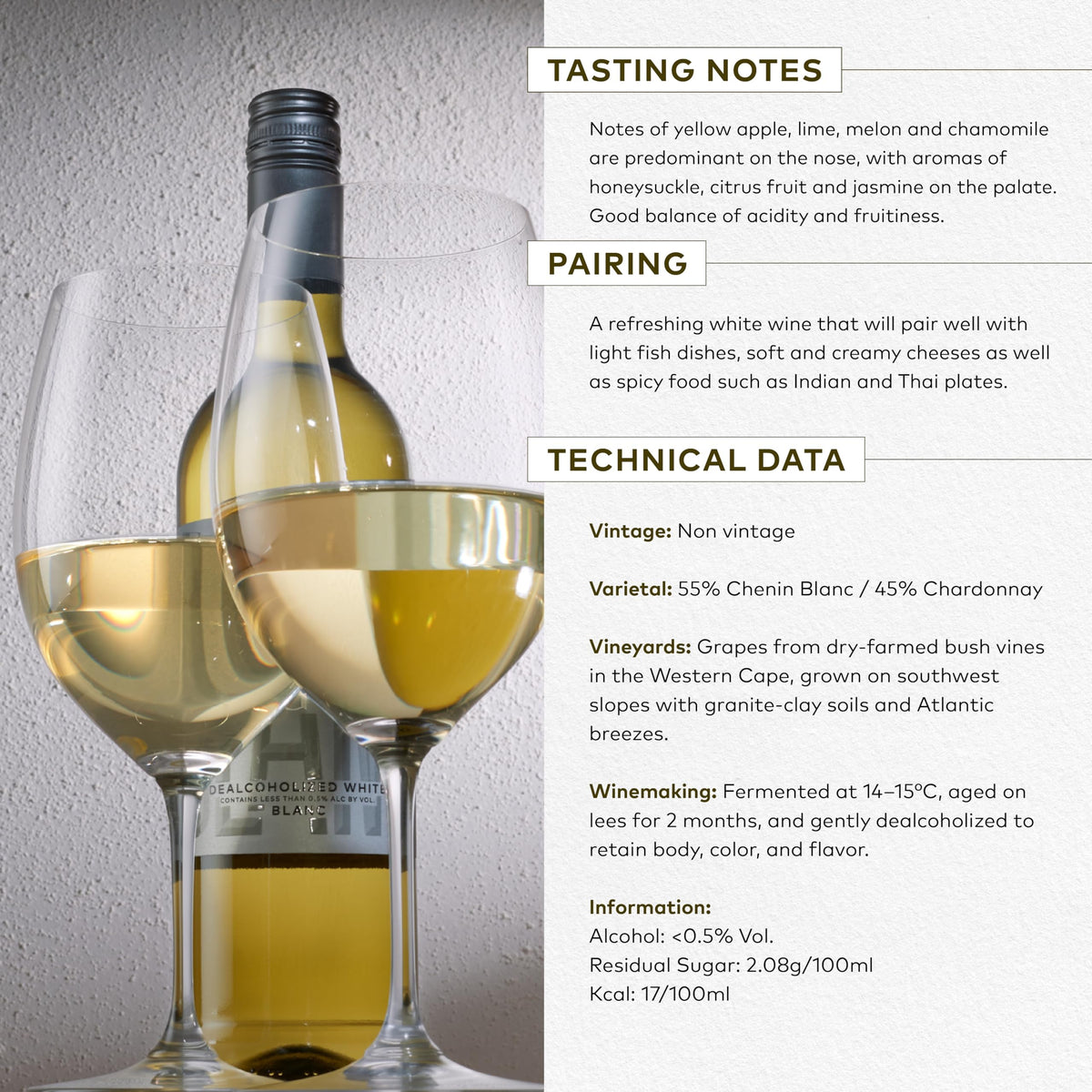 Western Cape vineyard scene with Chardonnay and Chenin Blanc grapes.