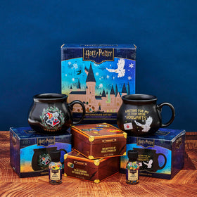 Thoughtfully Harry Potter gift set display ready for gifting to fans