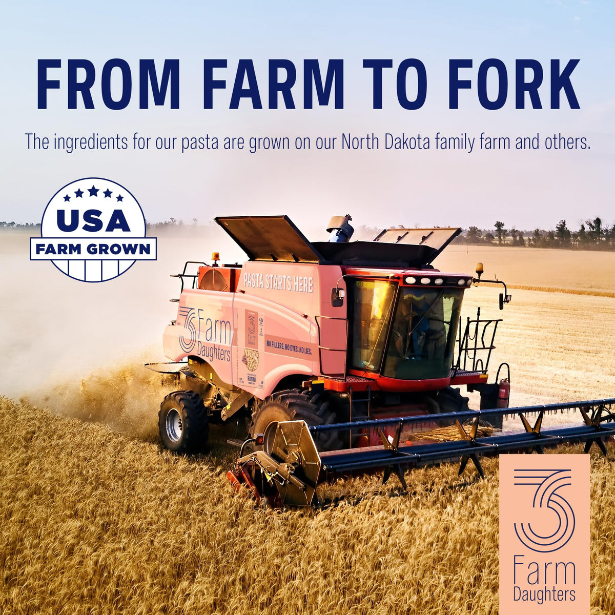Made in the USA badge on Three Farm Daughters pasta packaging.