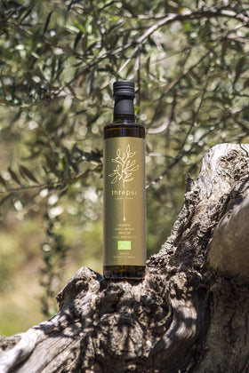 Threpsi Koroneiki olives closeup highlights rich fruity flavor.