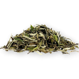 Tian Hu Shan Fuding origin tea fields celebrate traditional tea craftsmanship.
