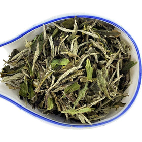 Tian Hu Shan White Tea cold brew in pitcher delivers crisp, refreshing notes.