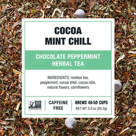 Refreshing iced Cocoa Mint Chill in a glass for a cooling moment