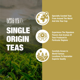 Tiesta Tea setup for quick hot or iced tea preparation.