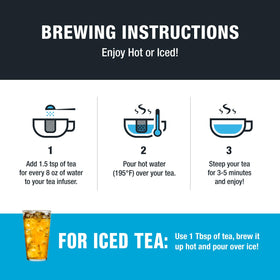 Tiesta Tea iced brew glass for refreshing cold tea options.