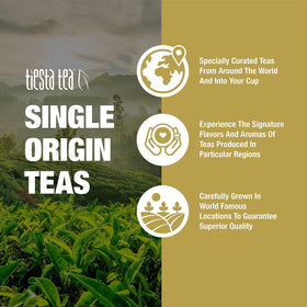Tiesta Tea Jasmine Pearls bloom in hot water, fragrant uplift.