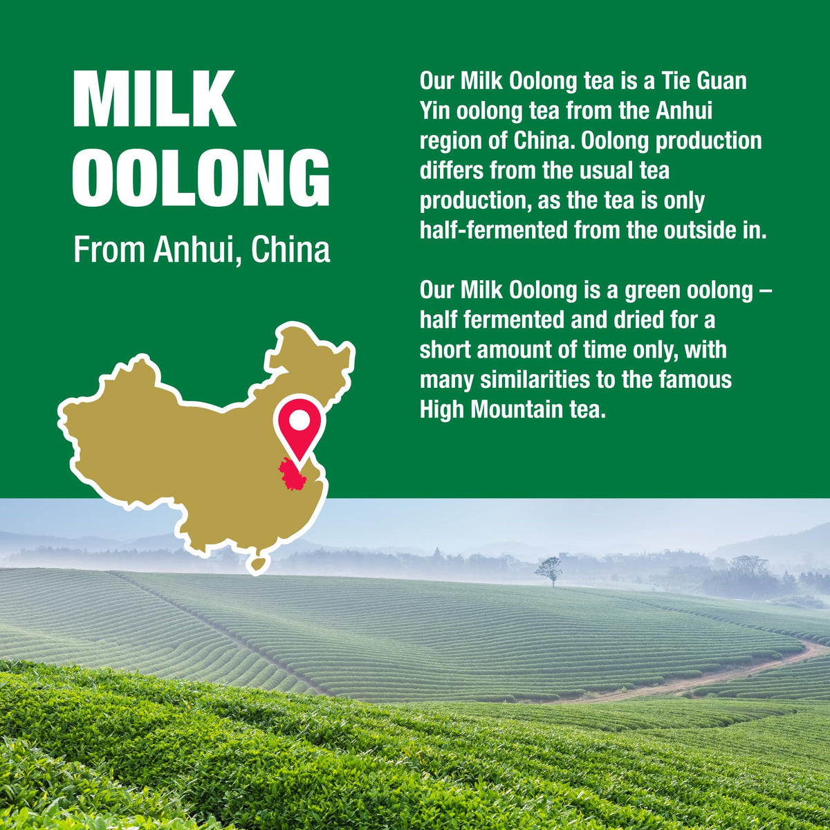Tiesta Tea Milk Oolong can be enjoyed hot or iced for versatile sipping.