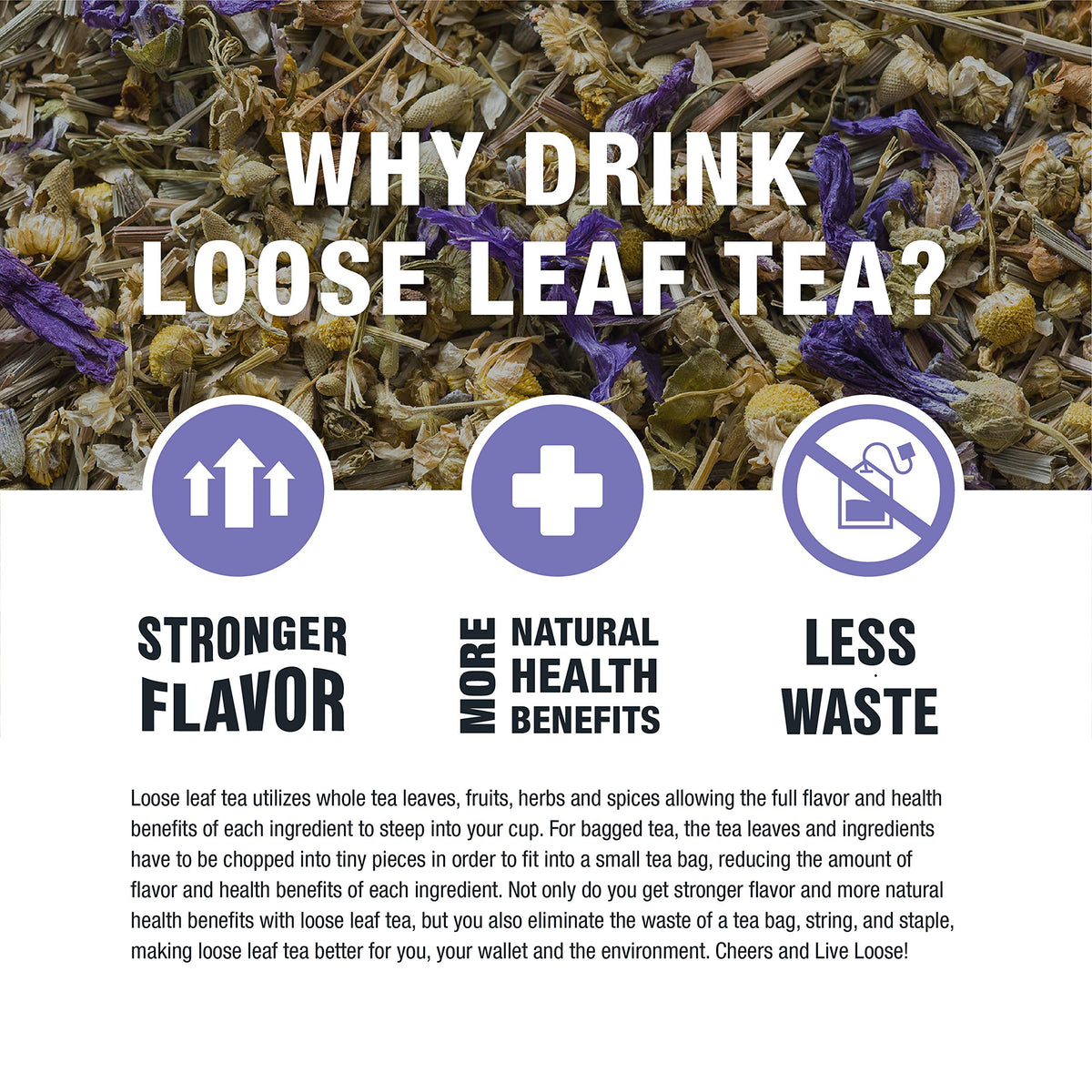 Tiesta Tea Nutty Almond Cream seasonal flavors for year-round delight
