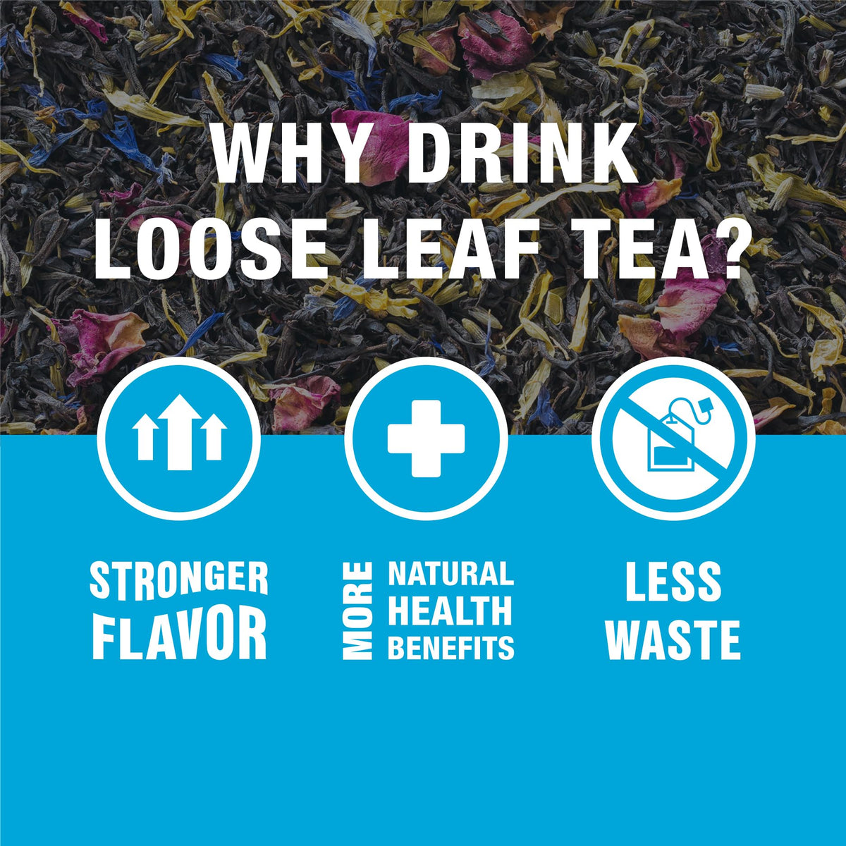 Tiesta Tea seasonal flavors in a cozy winter setting.