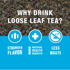 Tiesta Tea seasonal winter flavor creates cozy moments.