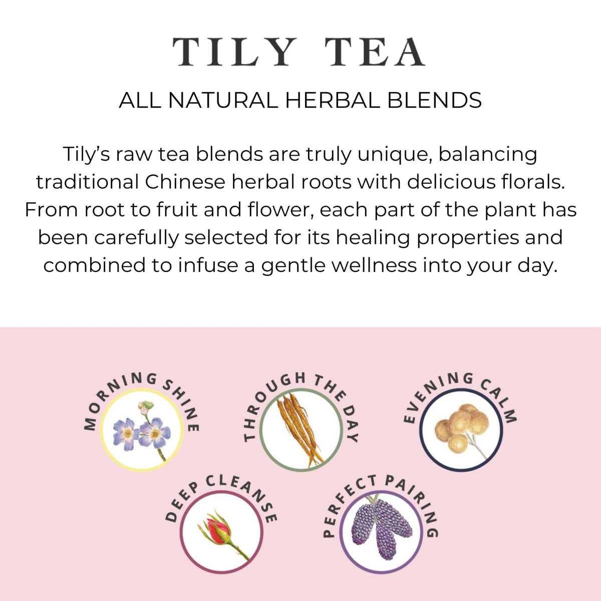 Tily Tea Perfect Pairing tea bag pairs with meals and desserts