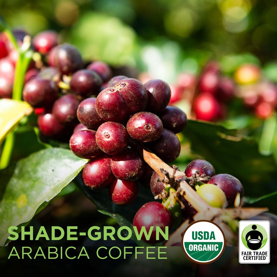 Tiny Footprint Coffee biodegradable bags supporting waste reduction and carbon-negative mission