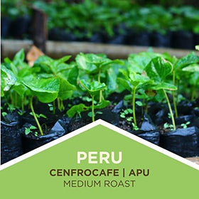 Tiny Footprint Coffee carbon-negative program supporting Mindo forest reforestation.