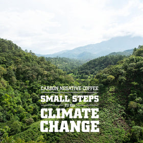 Mindo Cloud Forest reference in Tiny Footprint Coffee origin image illustrating conservation roots.