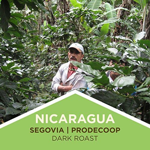 Tiny Footprint Coffee Nicaragua Segovia bag closeup shows premium organic shade-grown beans for clean flavor