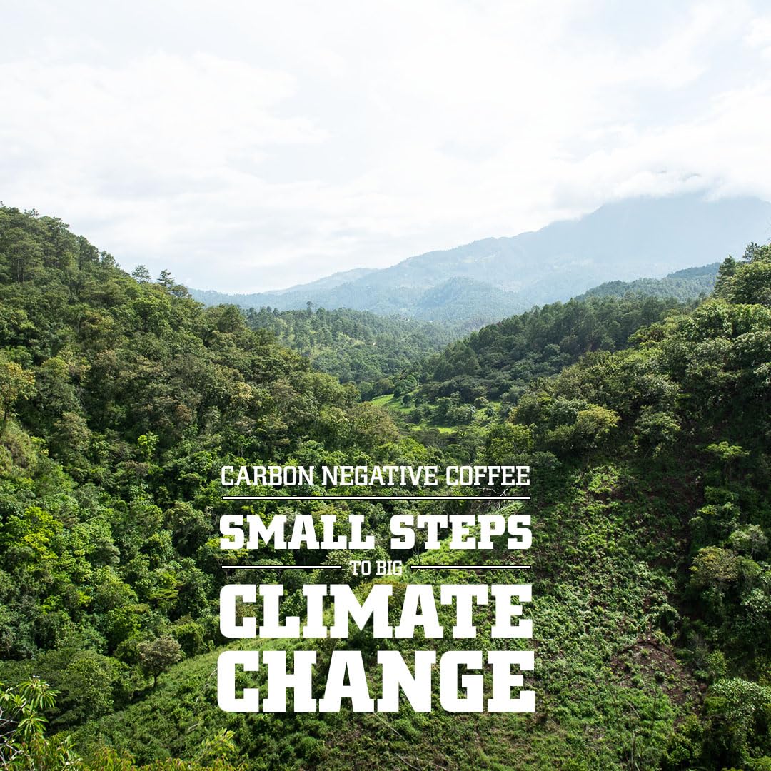 Tiny Footprint Reforestation in Ecuador supports biodiversity and watershed restoration.