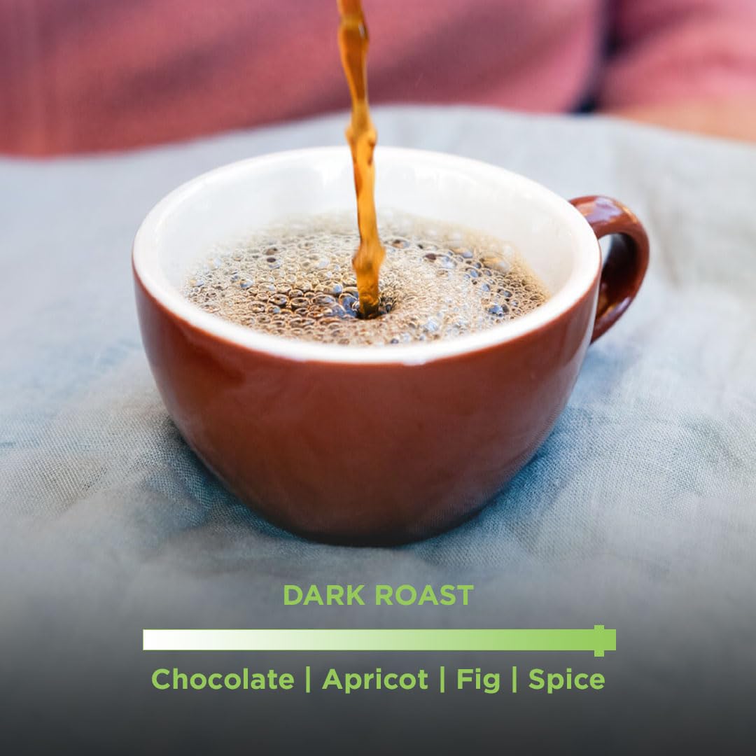 Tiny Footprint Coffee Minneapolis roastery scene highlighting sustainable roasting practices