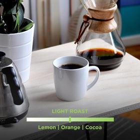 Tiny Footprint Coffee Signature Blend Light Roast cup with steam reveals citrus notes and cocoa finish.