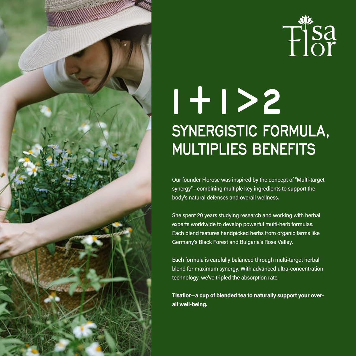 TisaFlor 7-in-1 herbal blend display—multi-target wellness potential.