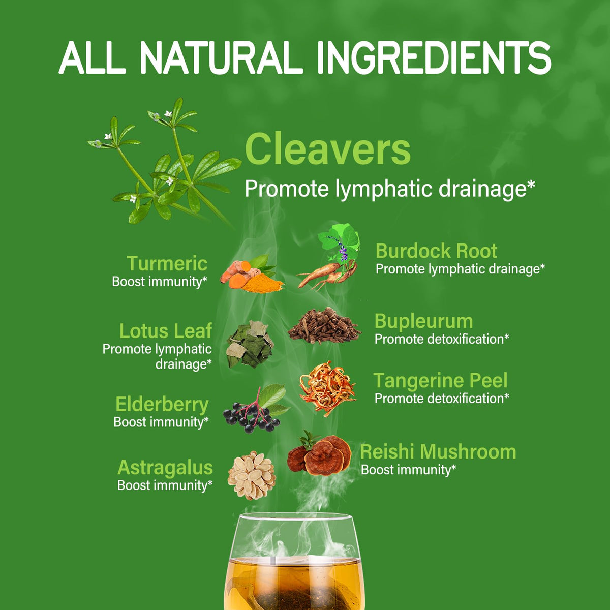 TisaFlor Cleavers tea steeping with color release and natural aroma