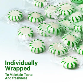 Travel case with Tivozy Starlight Spearmint for on-the-go freshness