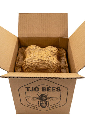 TJO Bees label and packaging aids quick identification.