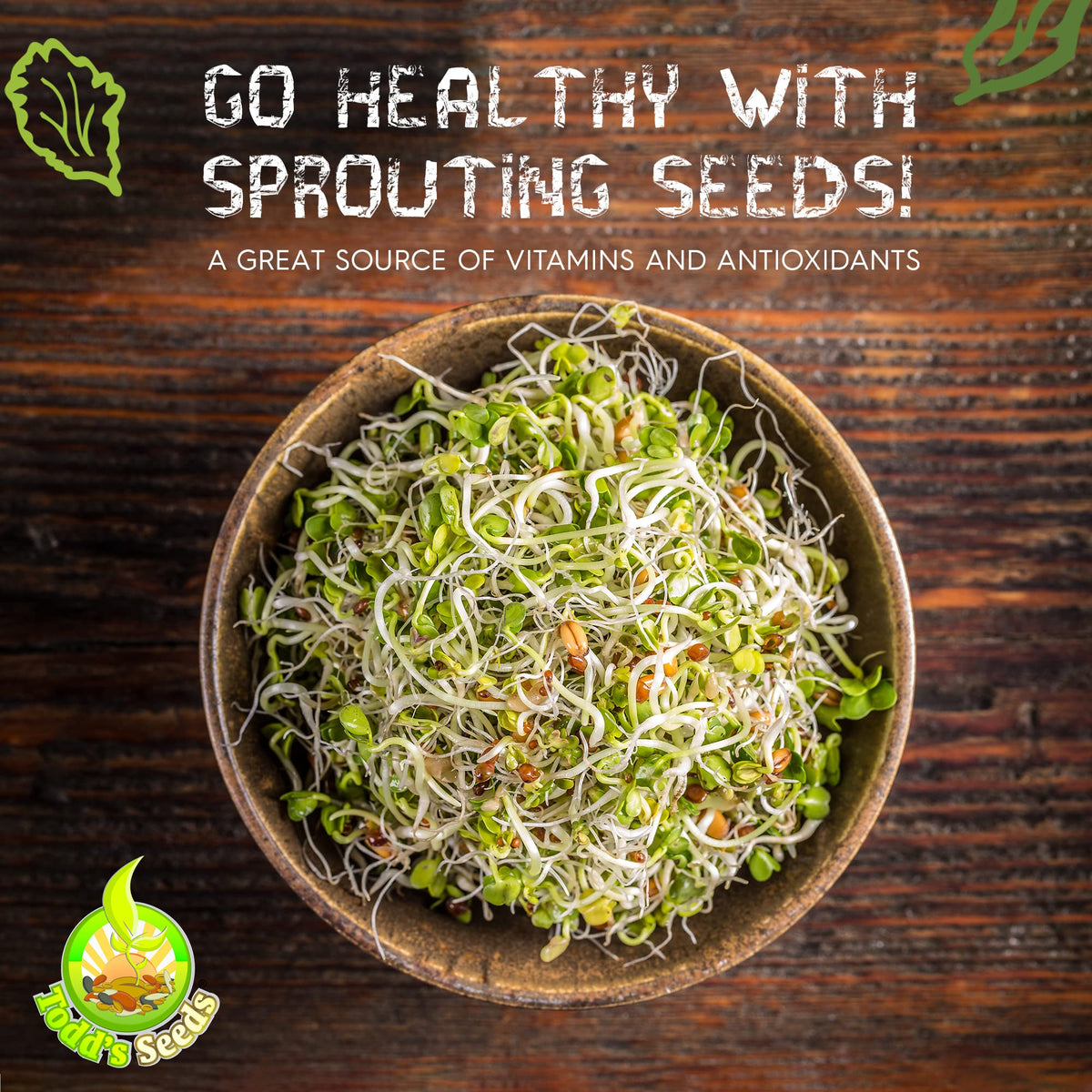 Todd's Seeds garbanzo beans sprouting for versatile protein sprouts