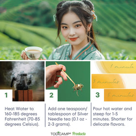 TODICAMP brewed tea cup steaming invites a tranquil, flavorful ritual.