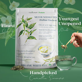 TODICAMP Silver Needle Tea 1lb packaging display, ideal for bulk tea lovers.