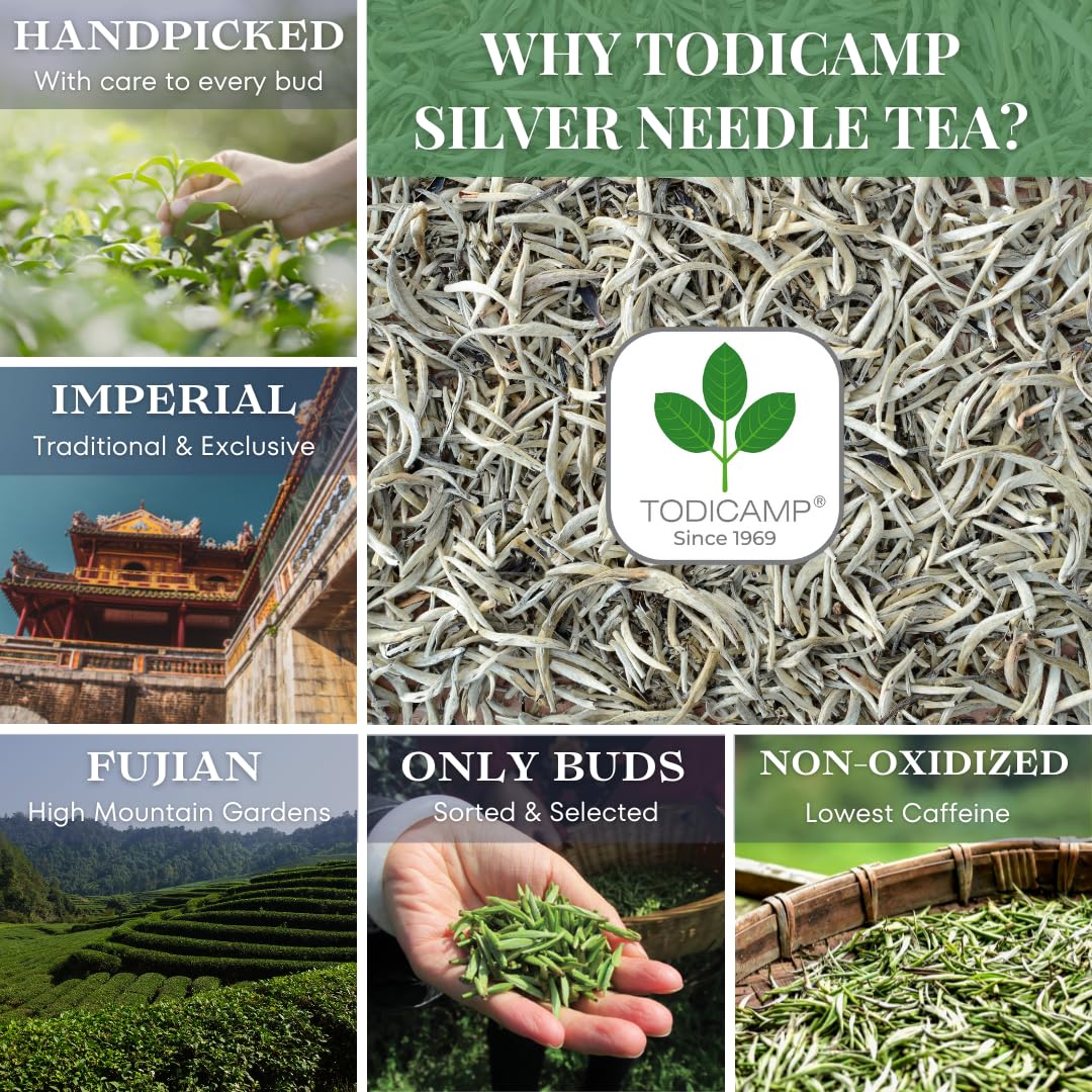 TODICAMP Silver Needle Tea brewing in cup, delivering gentle mellow aroma.