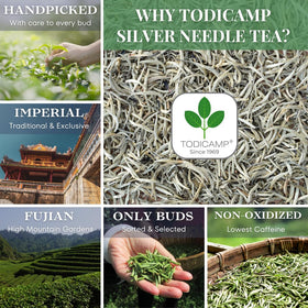 TODICAMP Silver Needle Tea brewing in cup, delivering gentle mellow aroma.
