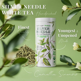 TODICAMP silver needle white tea loose leaf spread for fresh infusion.