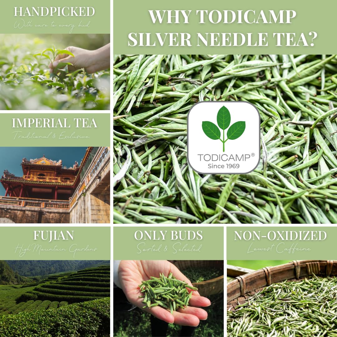 TODICAMP tea pour captures amber infusion with smooth, low-caffeine profile.