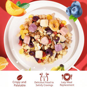 Toega ingredients close-up with oats chia seeds yogurt pieces