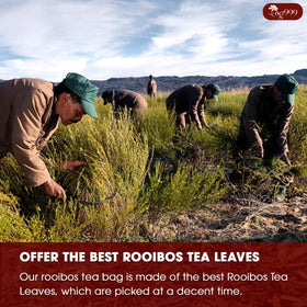 Biodegradable corn fiber TOG999 tea bags without strings or dyes