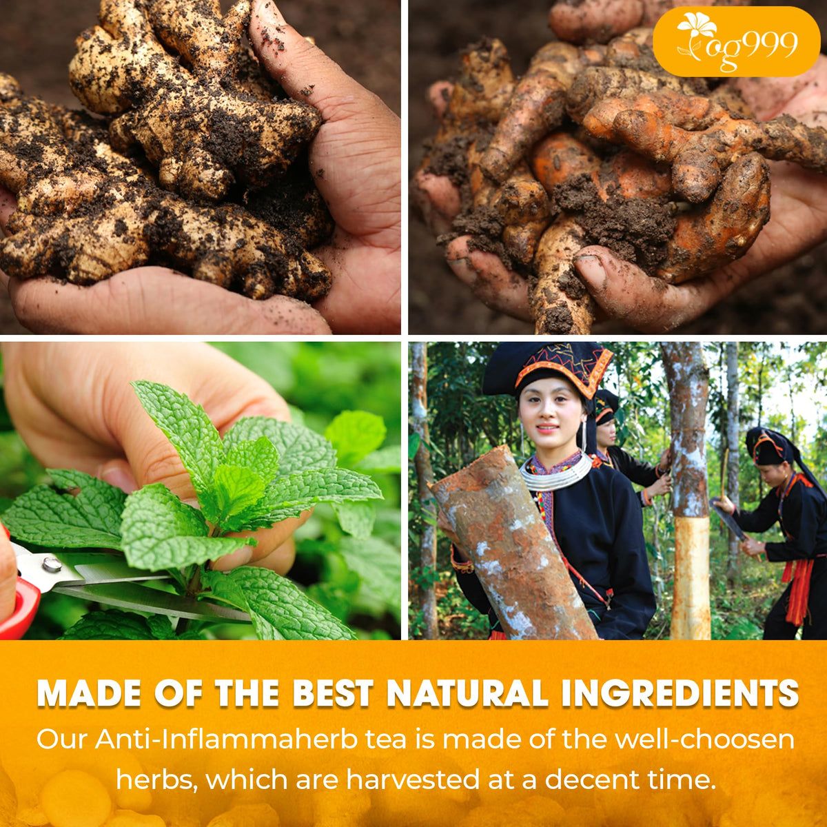 TOG999 cinnamon stick enhances cozy aroma and natural sweetness