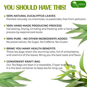 TOG999 eucalyptus leaves close-up, showing natural, pesticide-free harvest.