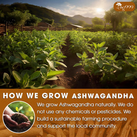 TOG999 handmade processing on sustainable family farms for quality