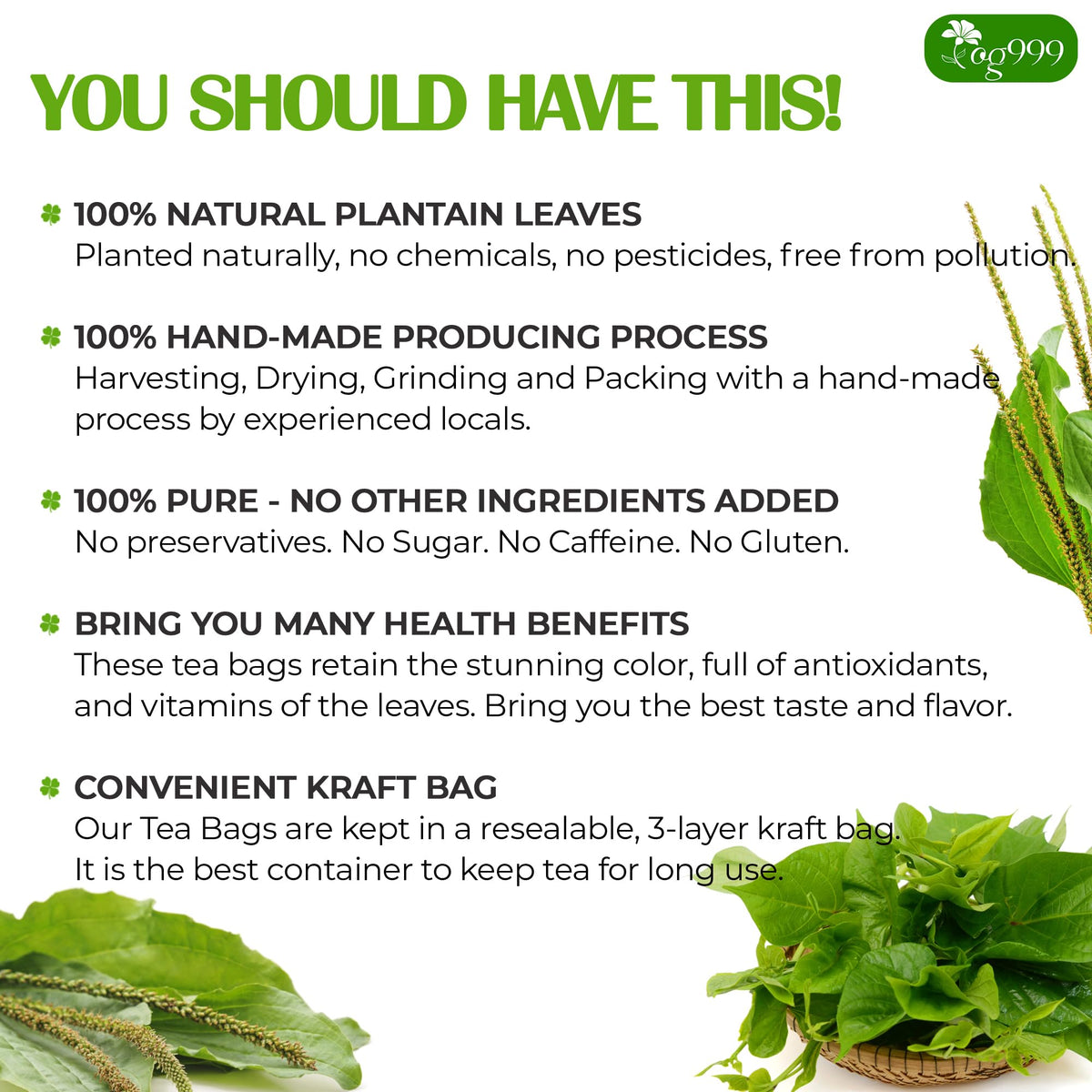 TOG999 plantain leaf tea dried leaves capture natural aroma before steeping