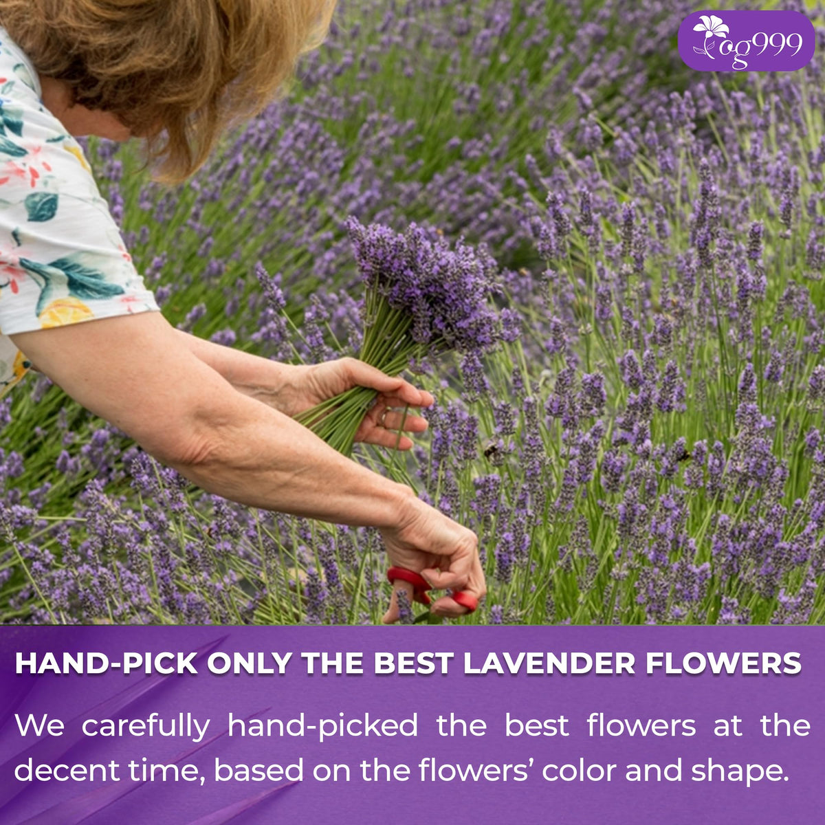 TOG999 resealable lavender tea bags keeping tea fresh between brews