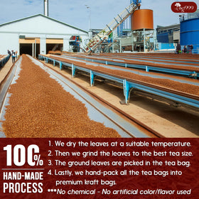 Hot brew TOG999 Rooibos tea highlighting convenient preparation