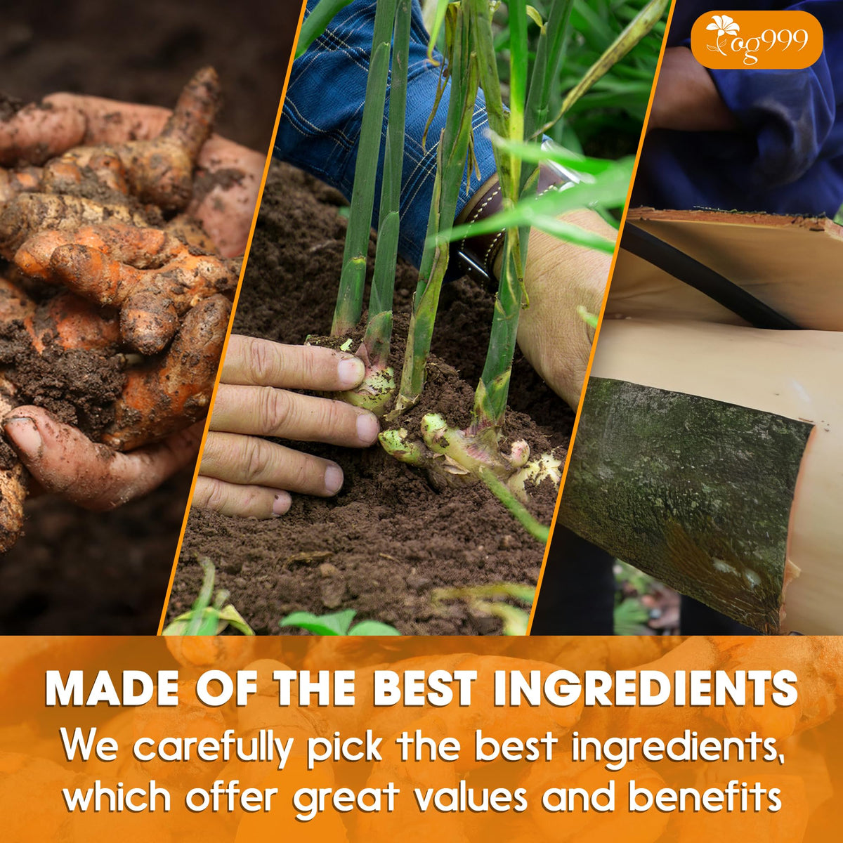 TOG999 sustainably sourced ingredients emphasize responsible farming and clean-label indulgence.