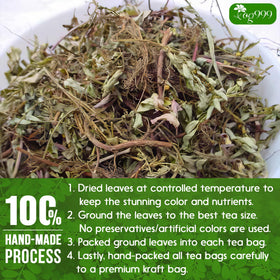 TOG999 Tea bags steeping in hot water ready to brew