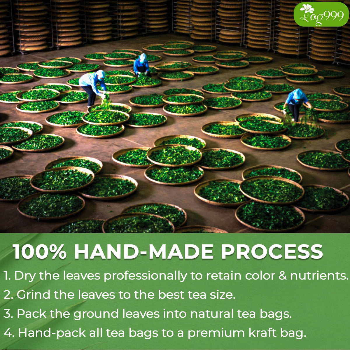 TOG999 vegan gluten-free moringa tea bags suited for plant-based diets.