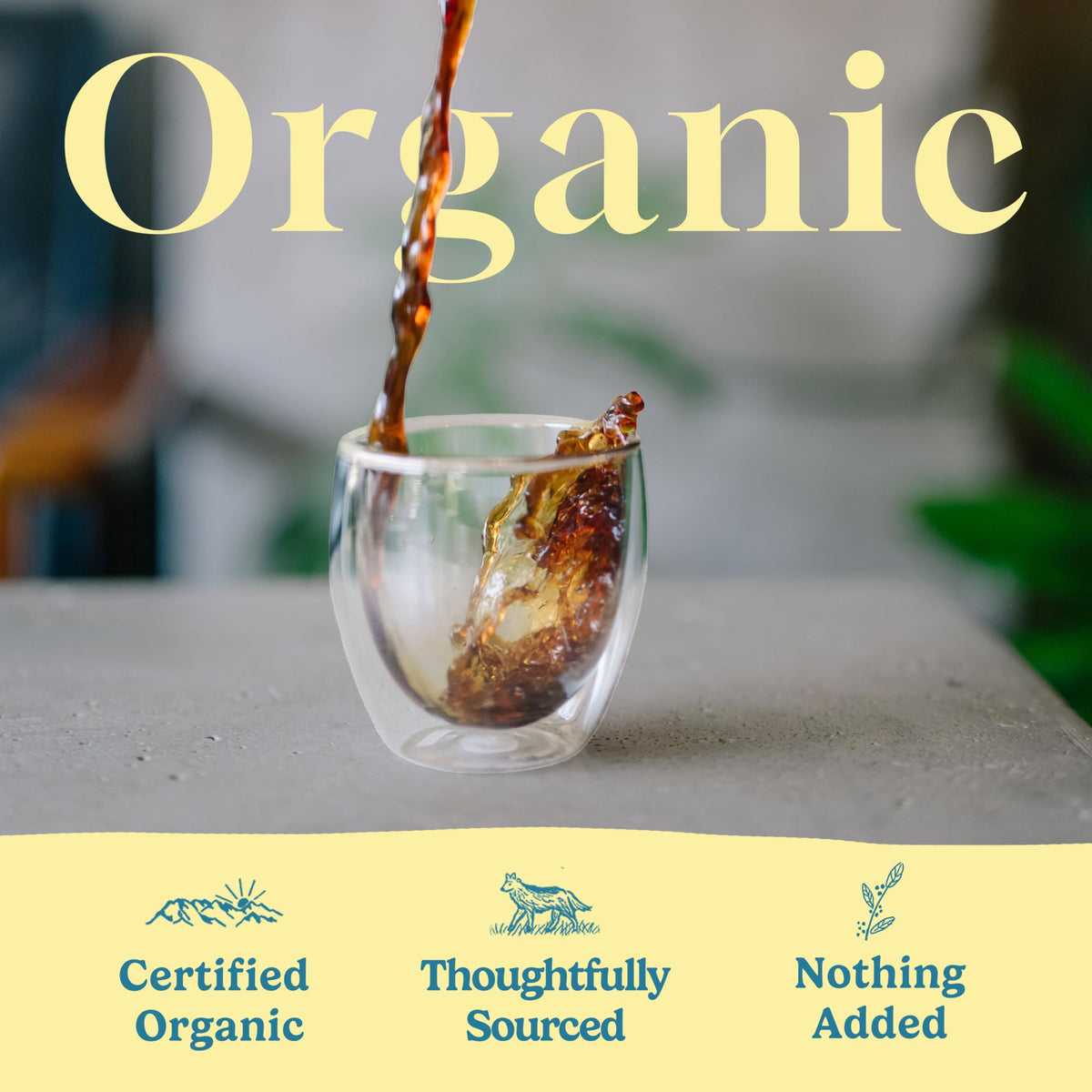 Tokyo Coffee Organic Blend beans closeup highlights 100% Arabica quality and aroma.