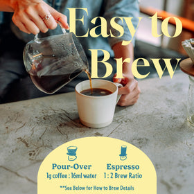Tokyo Coffee Organic Blend espresso shot invites versatile home brewing options.