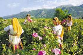TooGet rose petals for sachets impart gentle fragrance to spaces