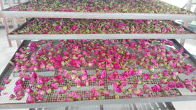 TooGet rose buds for tea blending and culinary crafts