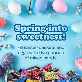 Tootsie fruit chews assorted flavors ideal for lunch boxes and parties